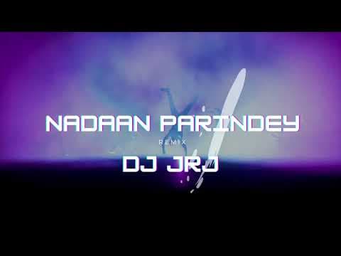 Nadaan Parindey (Remix)